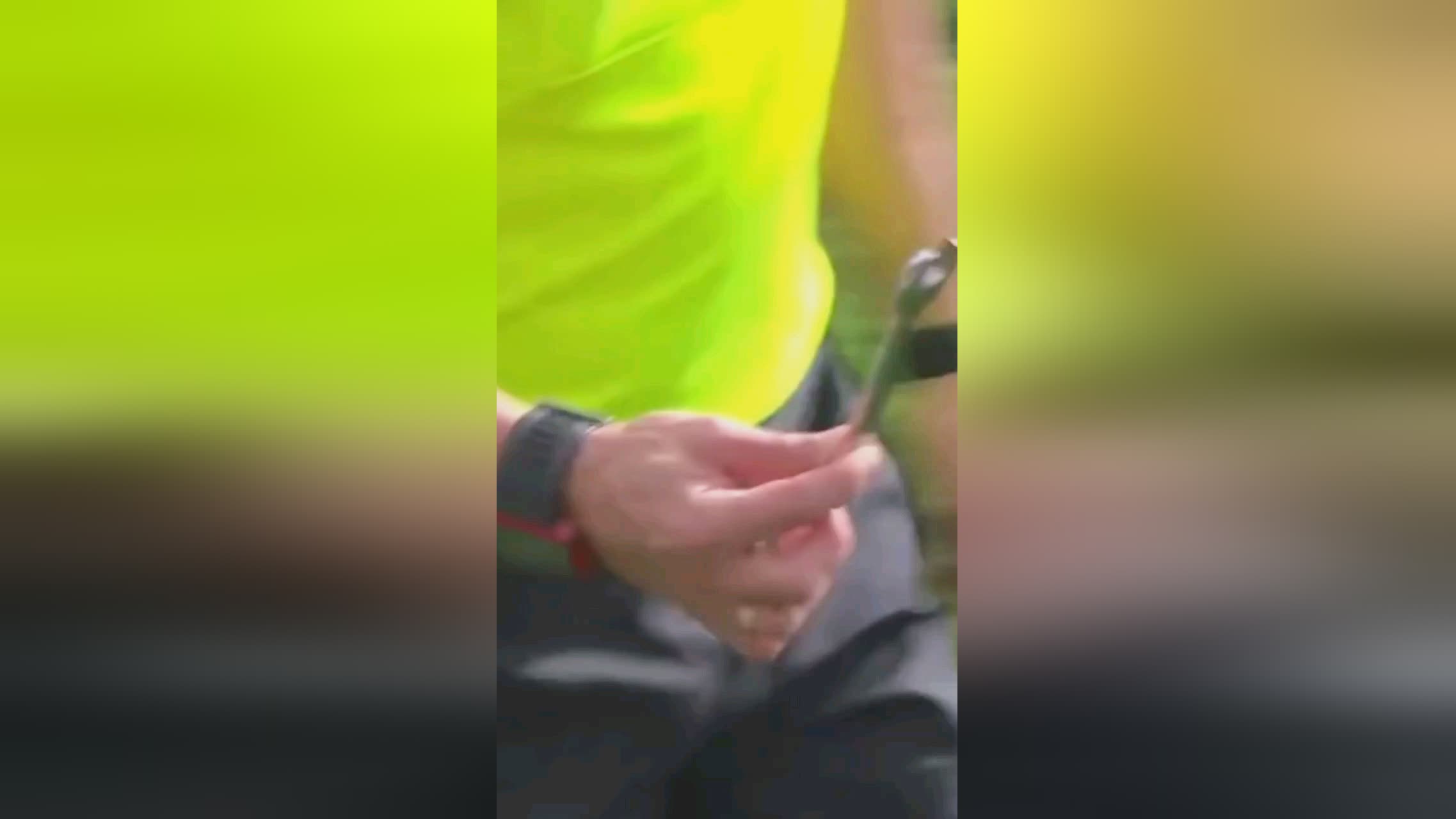斯据西班